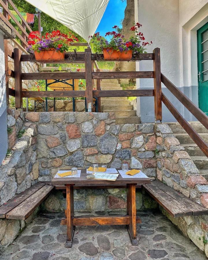 Hotel Rifugio Fornas à Tolmezzo Extérieur photo